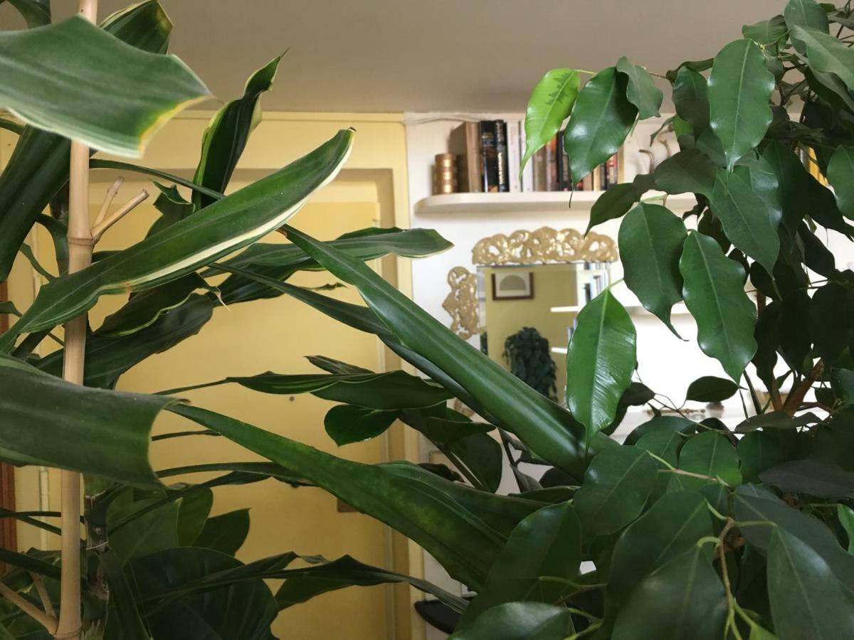 Finestra Su Genova Apartment Luaran gambar